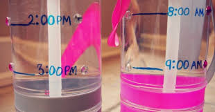 Image result for marked water bottle with times to drink