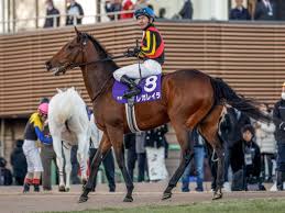 News source: netkeiba