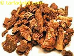 Image result for nannari root image