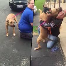 After becoming homeless, this man had to re-home his beloved dog. After two years apart, they finally reunited, and it was an incredible moment! 🙌 😭 | UNILAD | Facebook