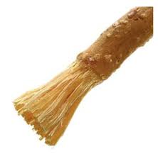 Bildergebnis für zahnbürsten bilder lustig