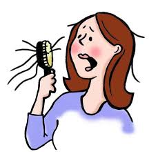 Dehlvi Naturals- what is Hair Loss,Herbal Supplements for Hair Loss - hair-loss151