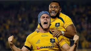 Image result for wallabies rugby photos