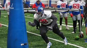 Giants' Roy Robertson-Harris Suffers Season-Ending Achilles Tear