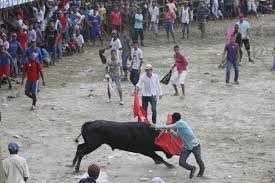 Resultado de imagen para corralejas mompox  2014