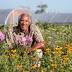 From family's farm land, Jim Embry brought knowledge, passion to...