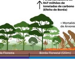 Imagem de Perda de recursos naturais devido ao desmatamento