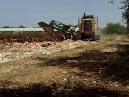CATERPILLAR D9H CON ARATRO DA SCASSO NARDI -