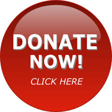 Donate to JDRF