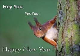 Afbeeldingsresultaat voor kerst en nieuwjaarswensen teksten