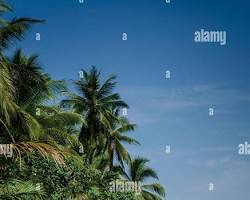 Image of Tatai River with traditional boat and jungle hut in the Cardamom Mountains