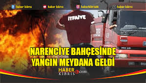 Haber Kıbrıs - News update