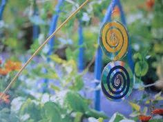 Resultado de imagem para bird scarer from china