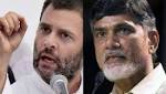 Telangana Assembly elections: Chandrababu Naidu