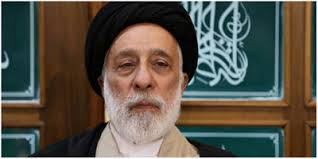 سید هادی خامنه ای