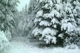 images?q=tbn:ANd9GcTI4ueEgQxBhqYGskeoqUl-c0a-4fNsWkx9B9bCuV1ndBAAtiPZIA