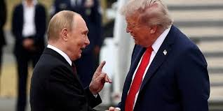 выборы