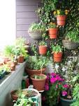 Bee Turns Down a Balcony Garden - The New York Times