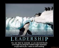 Funny Quotes About Leadership. QuotesGram via Relatably.com