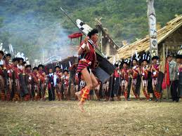 Image result for nagaland images