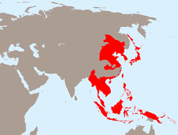 Image result for japanese