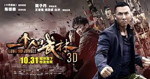 Kung Fu killer poster के लिए चित्र परिणाम