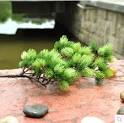 Artificial pine branches eBay