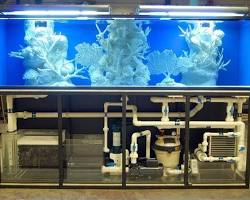 Hệ thống lọc nước