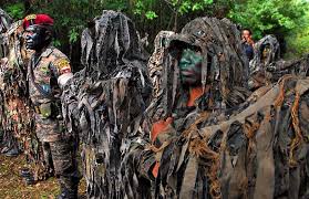 Hasil gambar untuk kopassus vs navy seal