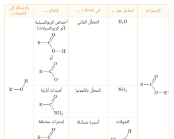 صورة الإسترات