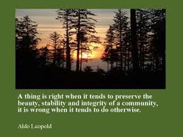 Wolf Aldo Leopold Quotes. QuotesGram via Relatably.com