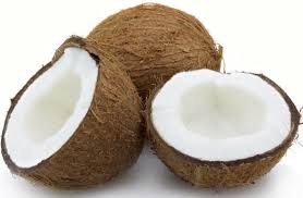 Image result for free images of coconuts and oil
