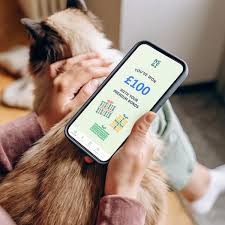 Norfolk Celebrates Big Wins in December’s Premium Bonds Draw