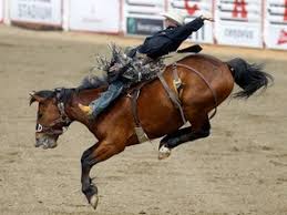 Calgary Herald - News update