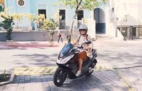 Apresentadora de 67 anos usa scooter para ir trabalhar na Globo