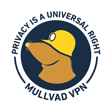 Hey, QUIC! Check Out This New VPN Feature to Avoid VPN Blocks.