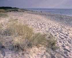 Immagine di Haapsalu Beach, Estonia