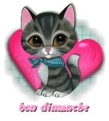 Résultat de recherche d'images pour "bon dimanche chat"