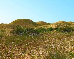 Dilmun Burial Mounds