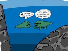 Image result for organisms and their environment