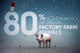 Image result for food inc