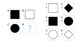 Image result for raven's matrices