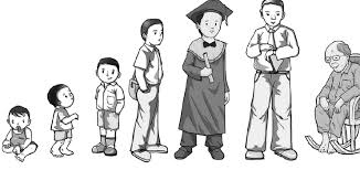 Image result for pertumbuhan