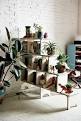 Plantas de interior Decoracin Parte 2 -