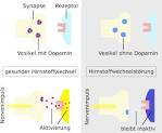 Dopaminagonist - DocCheck Flexikon