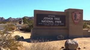 Joshua Tree National Park: Things Wey You Go See and Do
