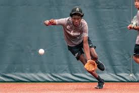 Local baseball player gets invite to MLB’s Hank Aaron Invitational to cap off the summer