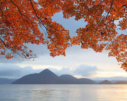 洞爺湖の紅葉の画像