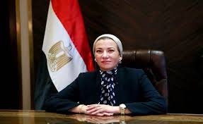 معلومات مباشر - News update