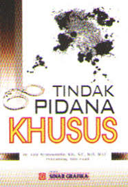 TINDAK PIDANA DALAM PERSPEKTIF KUHP